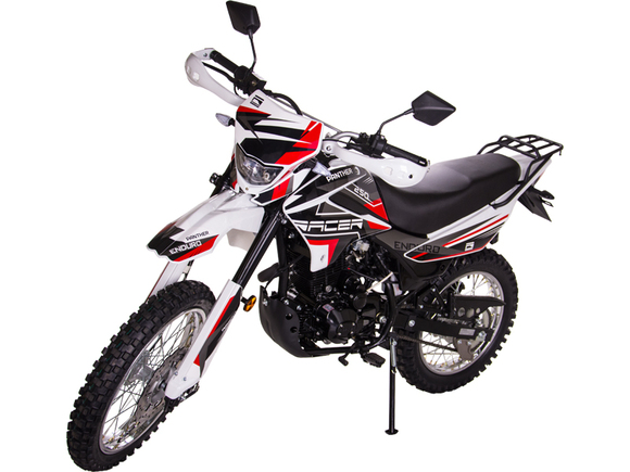 Мотоцикл Racer RC250GY-C2 Panther (красный) (Россия)