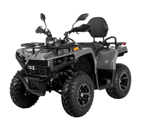 Квадрицикл Bizon YK250 BASIC CARB Серый