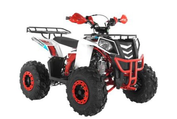 Квадроцикл Wels Thunder EVO X 125 белый