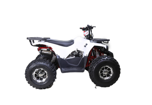 Квадроцикл TAO MOTOR HUNTER 125