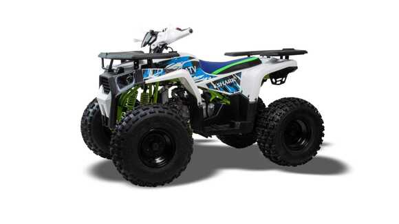 Квадроцикл TAO MOTOR SHARK 125
