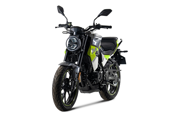 Мотоцикл TMBK MONTANA 250 (165 FMM) ЭПТС Grey Green