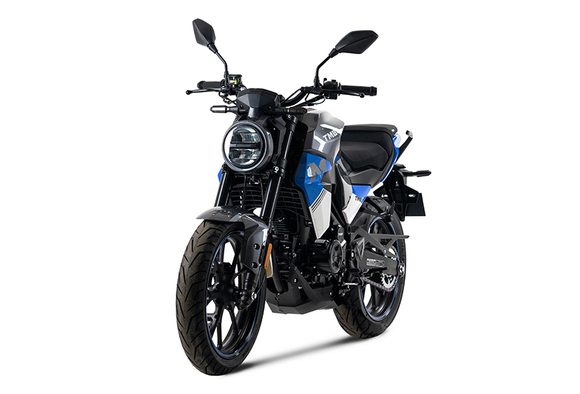 Мотоцикл TMBK MONTANA 250 (165 FMM) ЭПТС Grey Blue